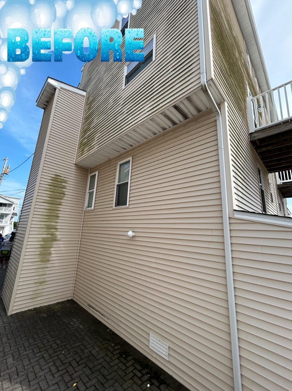 Shore house siding before cleaning with algae staining